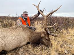 Landowner hunting tags are a. How To Hunt Elk In Wyoming In 2021 Table Mountain Outfitters