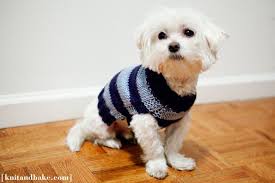 #dogsweaters #christmas #knitting ##knittingpatterns #christmasknitting. Pin By Lisa Jewell On Puppies Knitted Dog Sweater Pattern Dog Sweater Pattern Crochet Patterns