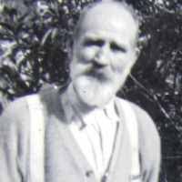 George Toms (1859–1938)