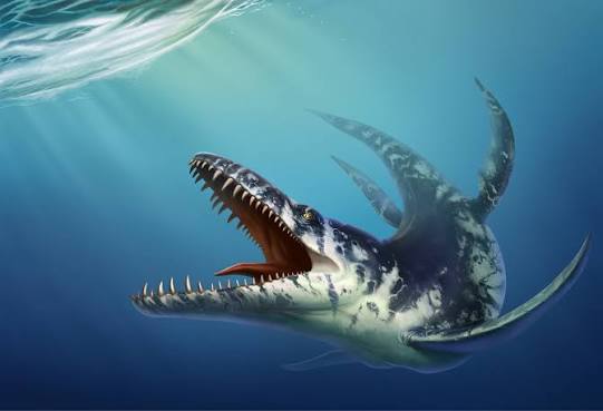 Kronosaurus - What do you know about the ancient Eromanga Sea? 💦🌊 🗺  Australia looked like an archipelago with land down the east and west. 🦈 The  Eromanga Sea was dominated by