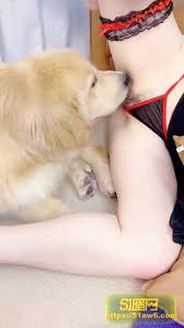 香香公主和金毛- Best adult videos and photos