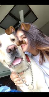 Skills & ability, different courses available, certifications, career and more! Canine Training Services Kryon Wisdom Centre