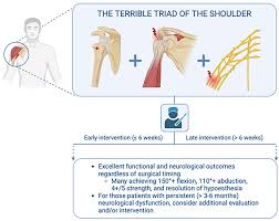 Image result for Rotator Cuff Triad Test