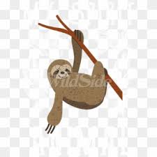 Some three toed sloth coloring may be available for free. Sloth Png Baby Sloth Coloring Pages Clipart 1203310 Pikpng