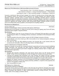 Account Executive Resume Example