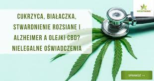 Stwardnienie rozsiane (sm, sclerosis multiplex) jest schorzeniem, w którym rozwijający się w bardzo różnym czasie. Bialaczka Stwardnienie Rozsiane I Alzheimer A Olejki Cbd Blog