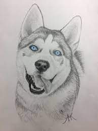 siberian husky drawing king with blue eyes tiere malen hund zeichnen zeichnung