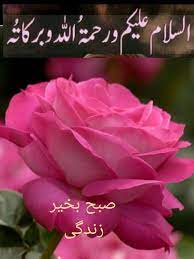 pin by safia habib on السلام عليكم صباح الخير good morning flowers good morning beautiful quotes good morning messages
