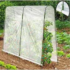 probache serre a tomates new 3 arceaux 200x120x180cm amazon fr bricolage serre a tomate serre jardin jardinage