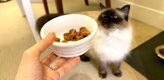 Dec 15, 2020 · specially formulated to provide complete nutrition for indoor cats, nestle purina cat chow indoor dry cat food earned the best budget pick. Best Wet Food For Cats Pet Circle