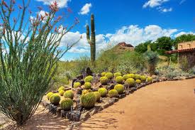 Maybe you would like to learn more about one of these? Desert Botanical Garden Phoenix Outdoors Stories