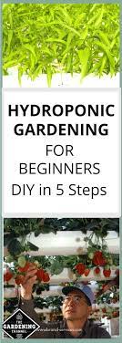 Beginner S Guide To Hydroponic Gardening Gardening Channel Hydroponics Diy Hydroponic Farming Hydroponic Gardening