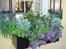 I've attached a few to this post for you to enjoy. Bringing Charleston Window Boxes Home Www Scliving Coop