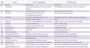 Maybe you would like to learn more about one of these? Persamaan Dan Perbedaan Antara Sel Hewan Dan Tumbuhan Organel Struktur Dan Bagian Sel Sekolah Matematika Sains Sms