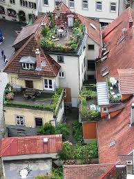 Rooftop Gardens In Germany Photo By David Turner Roof Garden Rooftop Garden Urban Garden