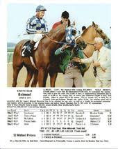 Secretariat And The Chart Of The Belmont Stakes Horses