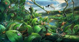 Tropical rainforests receive approximately 60 to 160 inches of precipitation that is distributed fairly evenly throughout the year. Extraordinary Species Diversity Within A 14 7 Million Year Old Tropical Rainforest And Sheds Light On Evolution