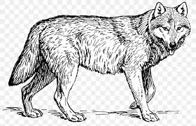 These alphabet coloring sheets will help little ones identify uppercase and lowercase versions of each letter. Puppy Arctic Wolf Coloring Book Pack Clip Art Png 2415x1556px Puppy Adult Arctic Wolf Artwork Black