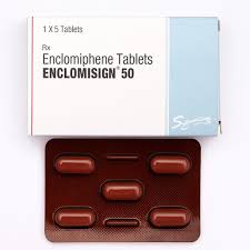 Image result for Selective Estrogen Receptor Modulator