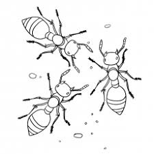 Color over 4,053+ pictures online or print pages to color and color by hand. Top 25 Free Printable Ants Coloring Pages Online