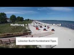 Mein freund rüdiger borth ist hier oft mit seinem deutschsprachigen blues zu hören. Ostsee Hundestrand Tipps Scharbeutz Haffkrug Mit Hund Youtube