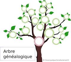 C'est un arbre ascendant sur 5 générations au format a4. Top 5 De L Arbre Genealogique Gratuit A Imprimer Et A Completer Choisir Quelque Chose Facilement