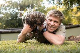 As a renowned producer and the driving force behind the seminal reissue label sundazed music, bob irwin has been. The Irwin Family Australia Zoo Meet Steve Terri Bindi And Robert Irwin