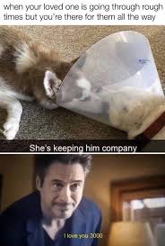 Wholesome Animal Memes To Start The Week Off Right Wholesome Memes Animal Memes Memes