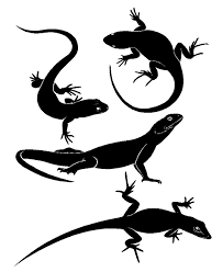 Pin By Angel Baby Custom Decals On Animals Nature Decals Animal Silhouette Vector Art Gecko Wall Art