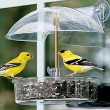 C'est un classique du genre, même si les bouteilles en plastique se font plus rare (et tant mieux)! Mangeoire Oiseaux Diy Dans Le Jardin 25 Idees Simples