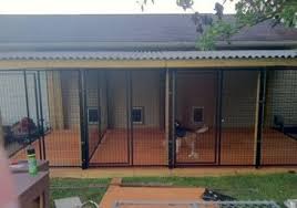 I'd recommend syd cat and boarding to anyone, it really is the best and i can't thank lee enough. 43 Trendy Backyard Dog House Grass Outdoor Dog Backyard Dog Kennel Ideas Dog Kennel Outdoor