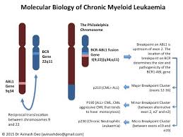 Pin On Chronic Myeloid Leukaemia