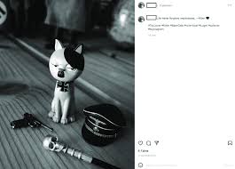Image result for kitler
