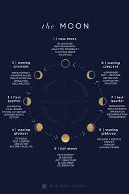 A Guide To The Lunar Cycle What Each Of The Moon Phases Are Called What They Indicate And How To Be Most Aligned With Them In 2020 Moon Phases Lunar Cycle Astrology