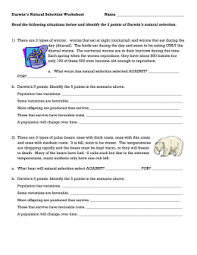 It selects for the night time worms. 35 5 Points Of Darwins Natural Selection Worksheet Worksheet Resource Plans