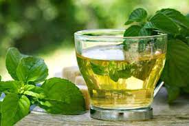 We did not find results for: Como Tomar La Menta Infusiones Y Uso Topico Belleza Y Bienestar