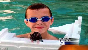 Jury sides with Petco in death of boy from rat-bite fever