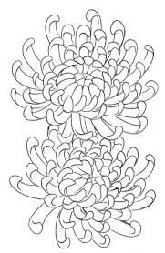 Draw irregular rounded shapes overlapping the edges. Tattoo Flash And Sketches By Metacharis On Deviantart Flower Drawing Chrysanthemum Tattoo Chrysanthemum Flower Tattoo