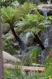 Pin De Linda Finkas En Australia The Land We All Came To Jardin De Sombra Jardines Jardineria