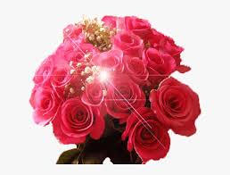Are you searching for flower png images or vector? New Year Flowers Images Gif Hd Png Download Transparent Png Image Pngitem