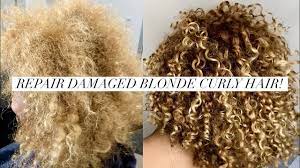Damaged curls often become very dry and brittle. Repair Dry Damaged Blonde Curly Hair Youtube