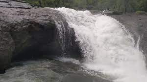 We did not find results for: Waje Waterfall Near By Panvel Monsoon 2021 Youtube