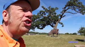 Butter Cow Statue, Toledo, Iowa. Travel USA, Mr. Peacock & friends, hidden  treasures