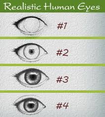 How To Draw Human Eyes Step By Step Explanation Eye Drawing Human Drawing Human Eye