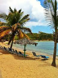 Bolongo Bay Beach Resort St Thomas Usvi All Inclusive Beach Hotel Caribbean Beach Travel Beach Resorts Beach Hotels Vacation