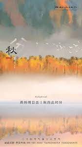 意境秋分节气海报 graphic design posters poster design graphic design