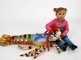 Image result for monika babi%u0161ov 