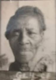 Warren Alexander Davis