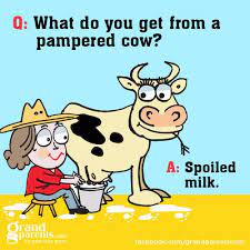 humor jokes kids funny jokes for kids cute jokes jokes for kids