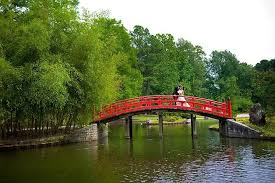 Japanese Garden Wedding Memphis Botanic Garden Memphis Weddings By Southern Event Planners Courtesy Memphis Botanic Garden Japanese Garden Botanical Gardens